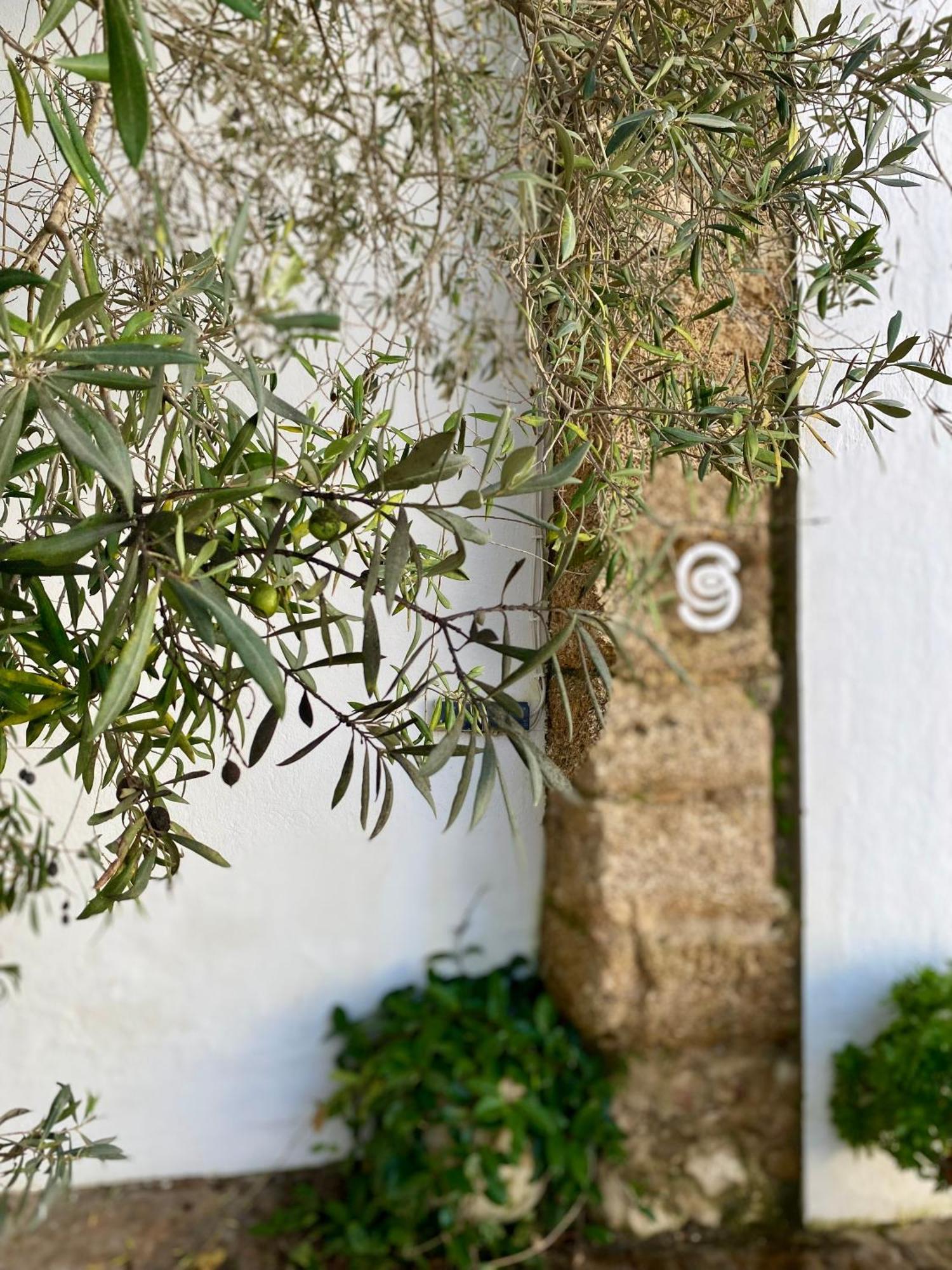 Cortijo De Guerra Guest House Puerto Real Eksteriør bilde